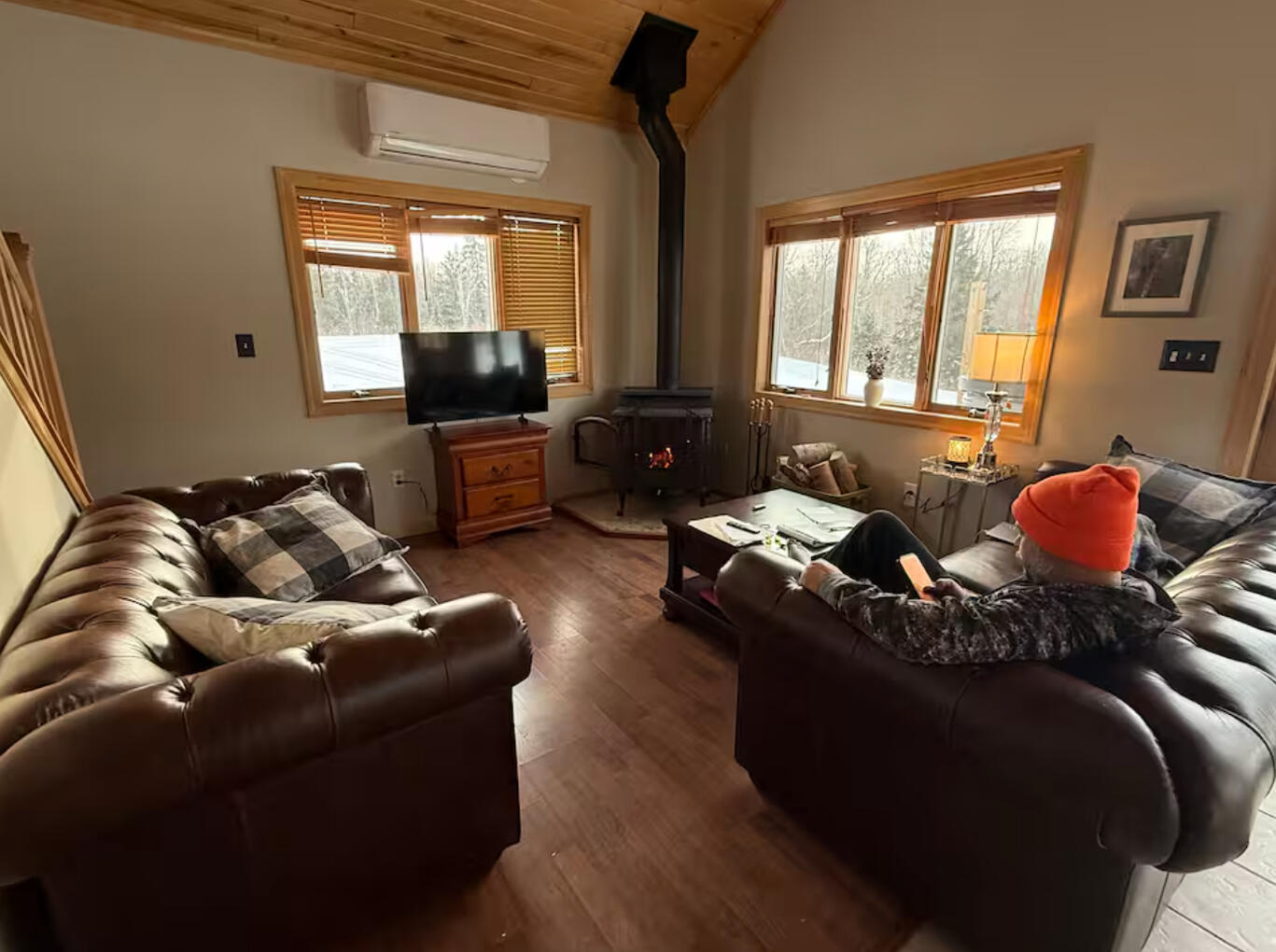 Living Room with Wood Stove