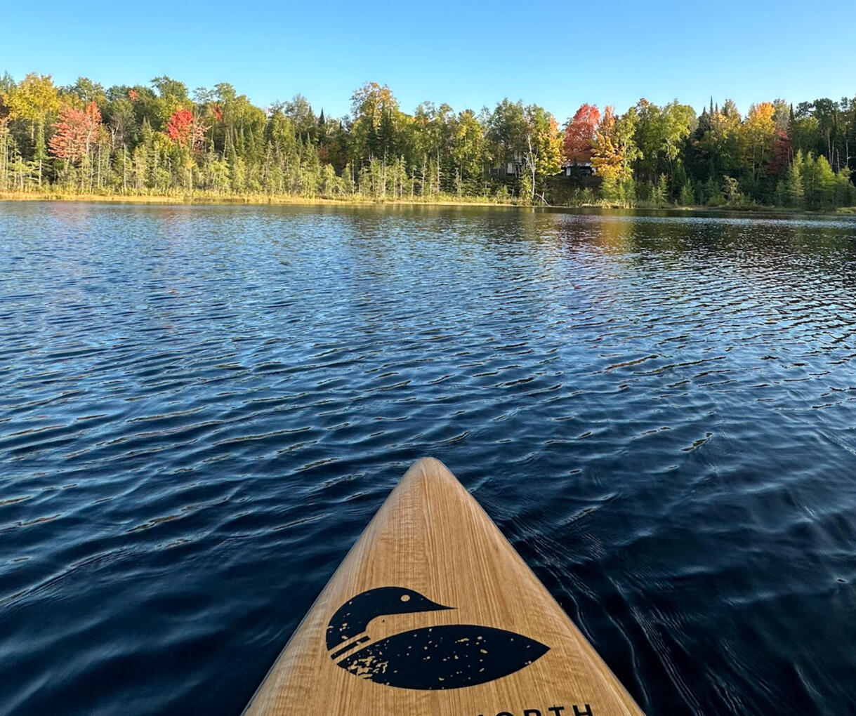 Paddle on the Pond